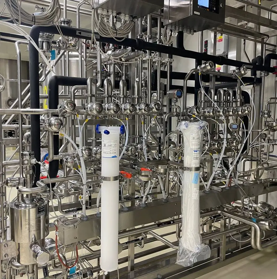 Stainless steel process skid with pumps and instrumentation
